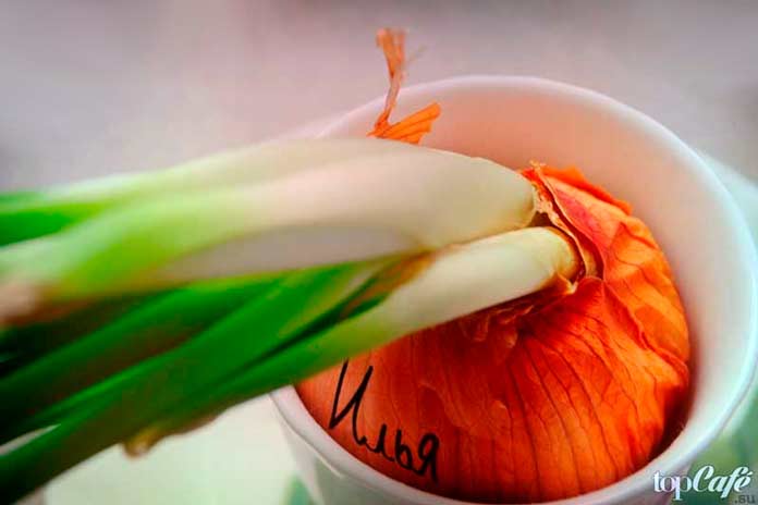 гадание на луке, фото topcafe.su