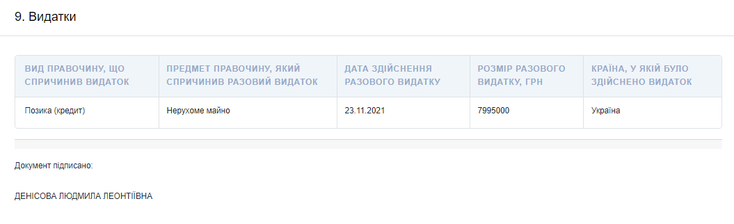 Декларация Денисовой. Скриншот