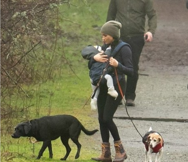 Меган Маркл гуляет в парке с сыном и собаками