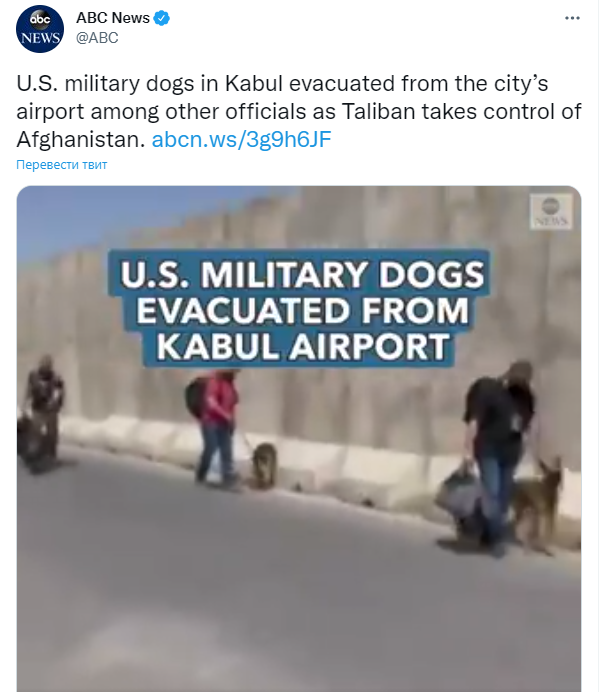 военные США эвакуируют из Афганистана служебных собак