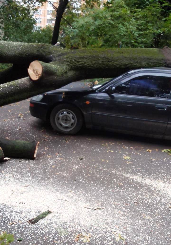В Киеве ураган повалил деревья. Скриншот: facebook.com/zelenbud