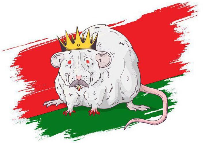 крысиный король