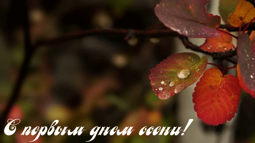 открытка с первым днем осени