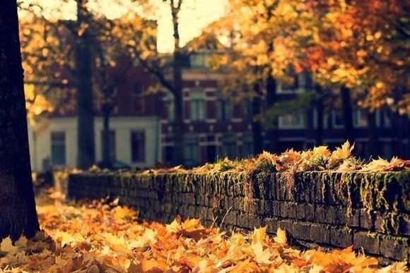 золотая осень