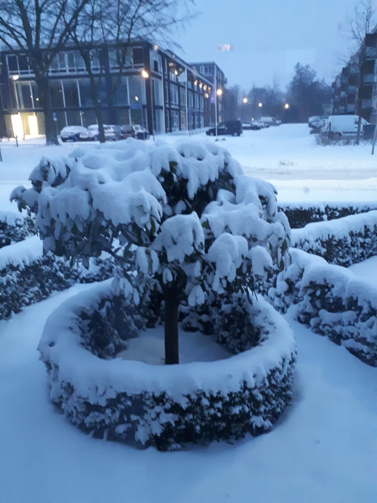Снежная буря в Нидерландах. Фото: Твиттер 