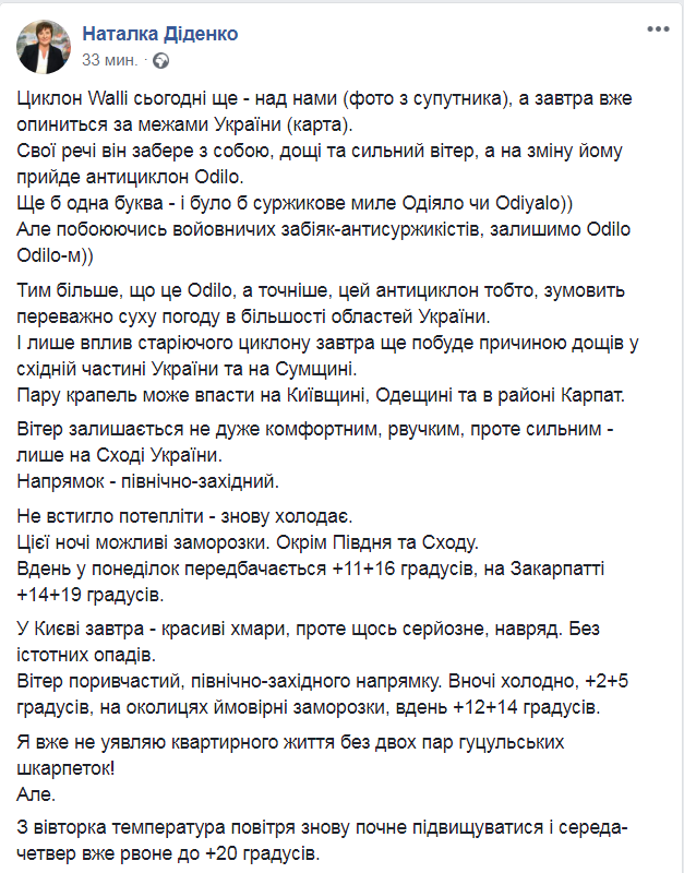 Скриншот из Facebook  Наталья Диденко