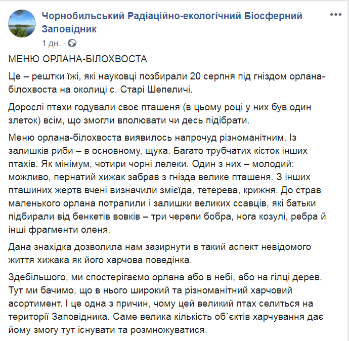 Скриншот из Фейсбук Чернобыльского заповедника