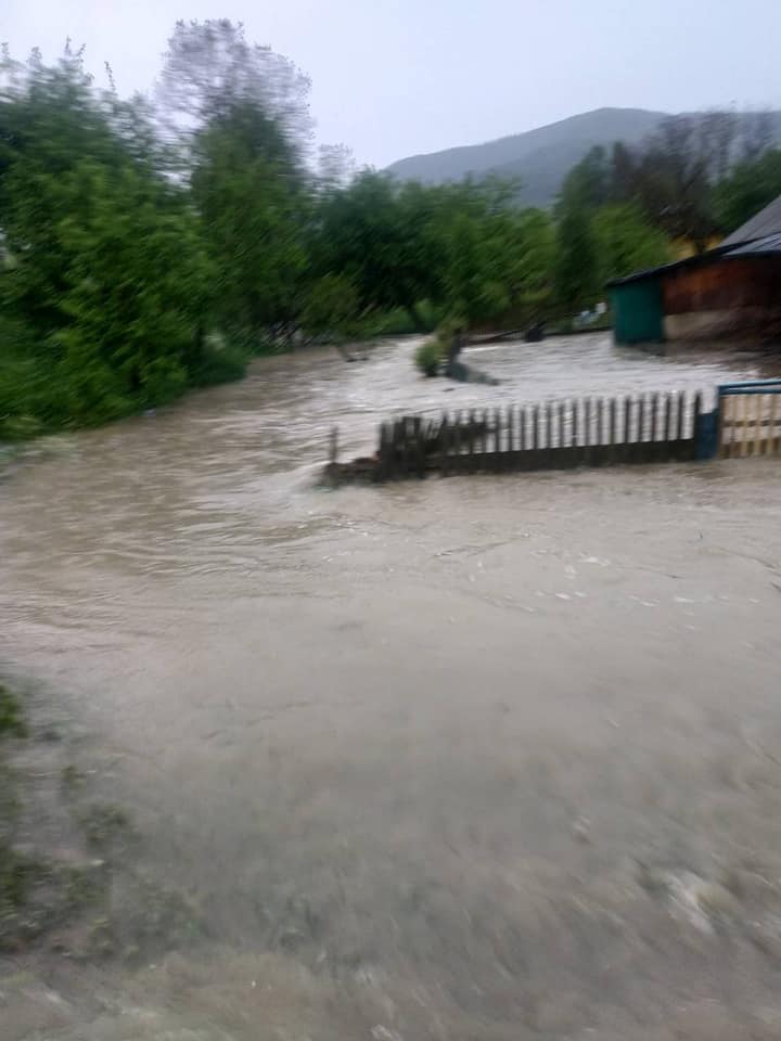 На Прикарпатье из-за сильных ливней село ушло под воду