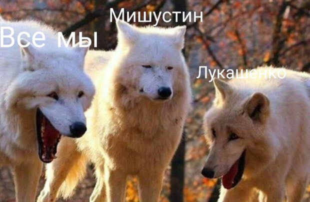 мемы про Лукашенко