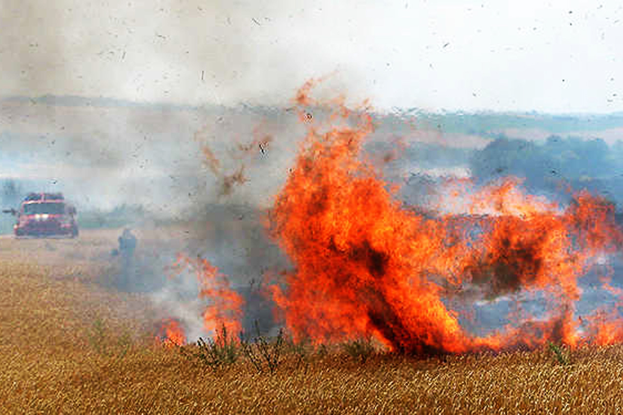 В Хмельницкой области пожар уничтожил 16 гектаров пшеницы. Фото: km.dsns.gov.ua