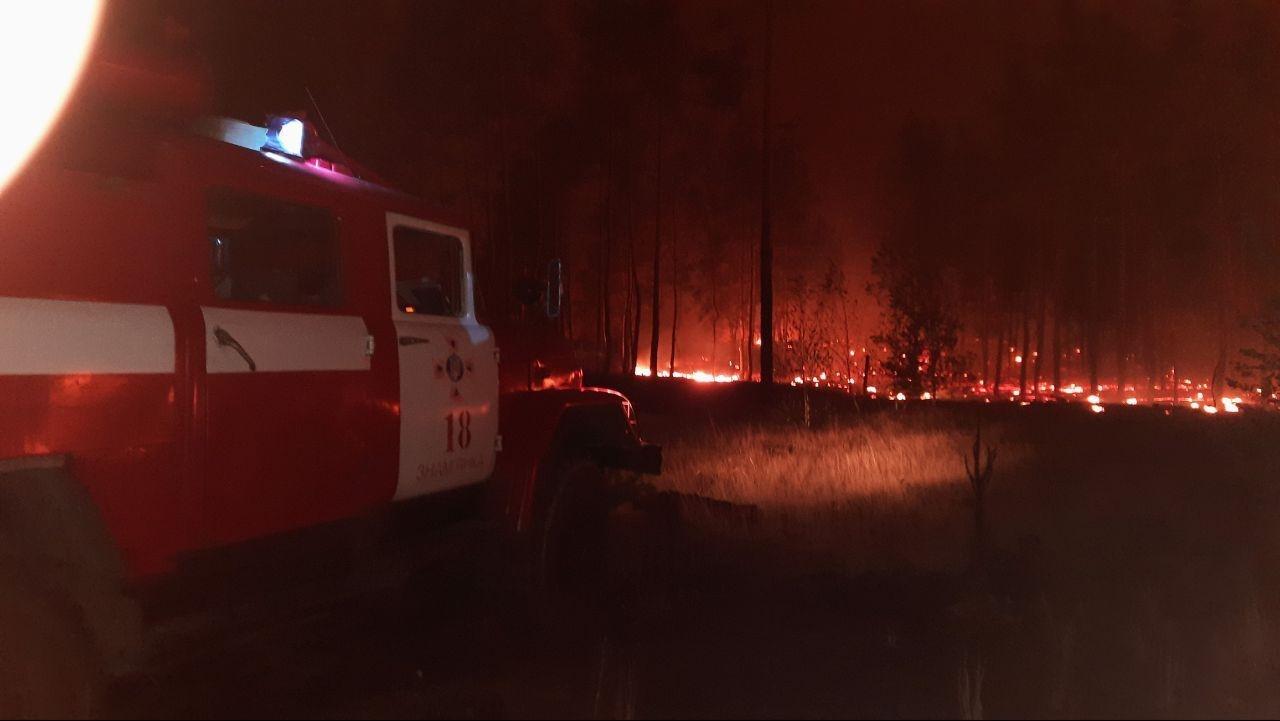 В Луганской области продолжают тушить лесные пожары. Фото: dsns.gov.ua