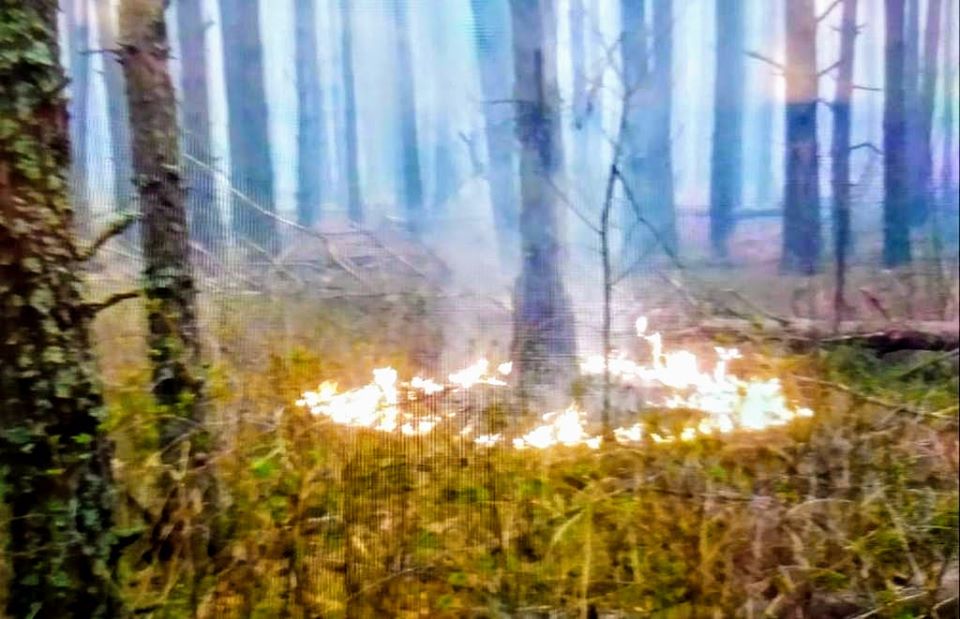 Пожар в лесу. Фото: facebook.com/arsen.avakov