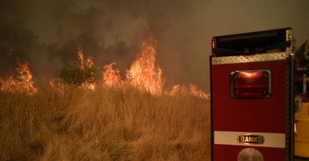 В Калифорнии вспыхнули масштабные пожары. Фото: twitter.com/sondakika2424