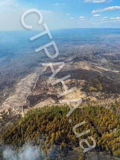 Пожары в Житомирской области, вид сверху. Фото: Страна