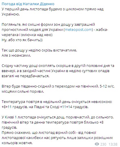 Диденко прогнозирует дождливую погоду в первый день ноября. Скриншот: Telegram/Наталья Диденко