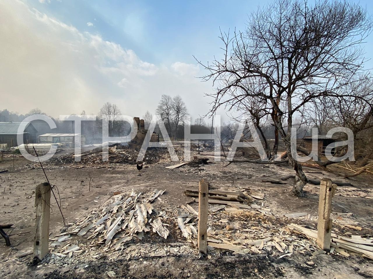 Сгоревшая деревня. Фото: Страна