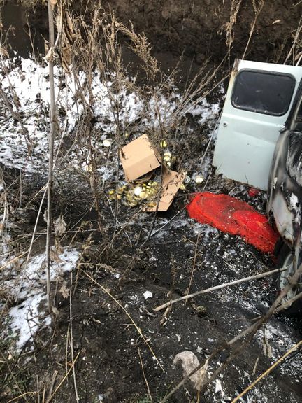 На границе с Россией обнаружили сгоревший микроавтобус с остатками икры. Фото: dpsu.gov.ua