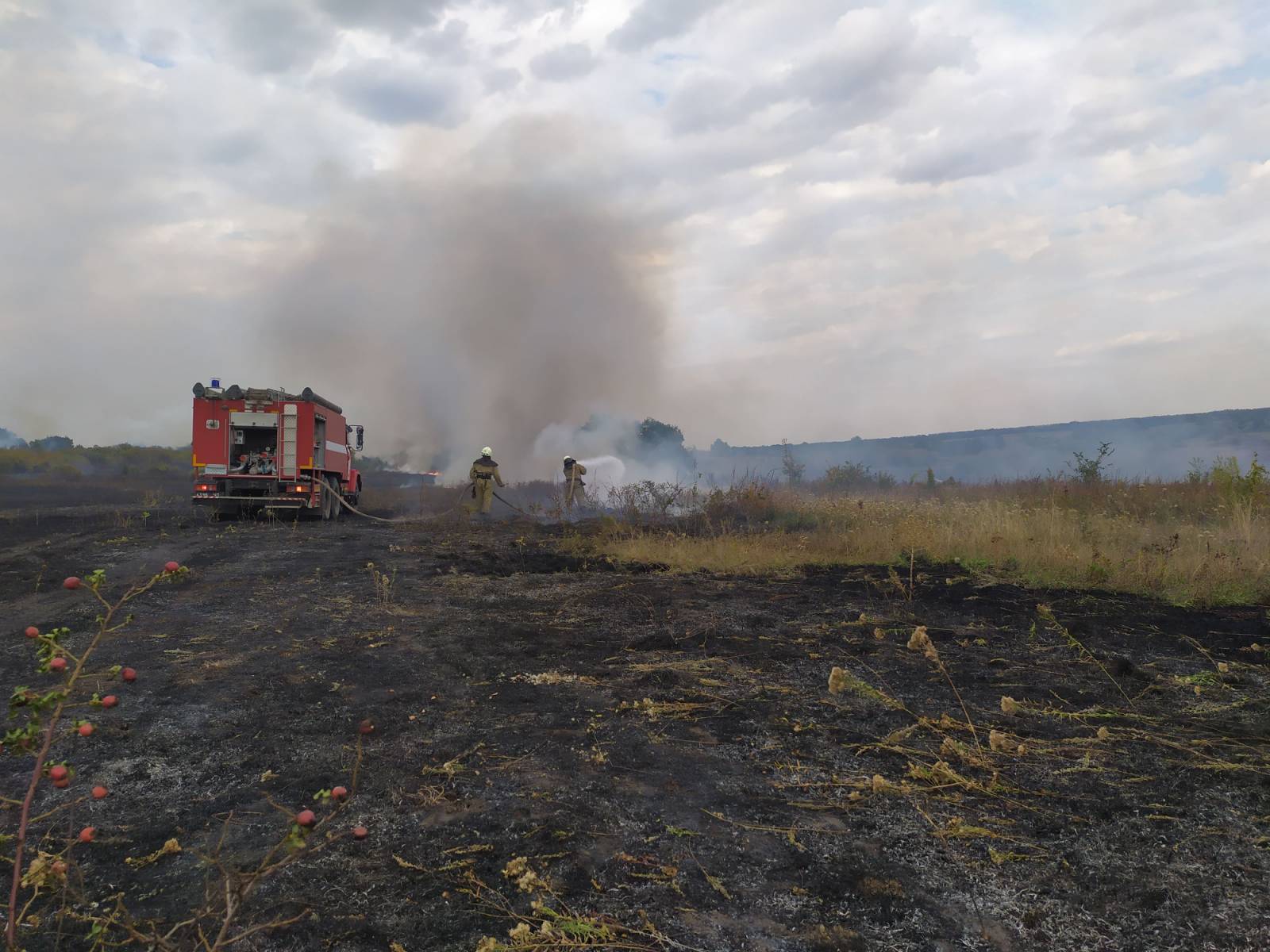 Что происходит в Луганской области с пожарами на 4 октября. Фото: Спасатели продолжают тушить масштабные пожары в Луганской области. Фото: dsns.gov.ua