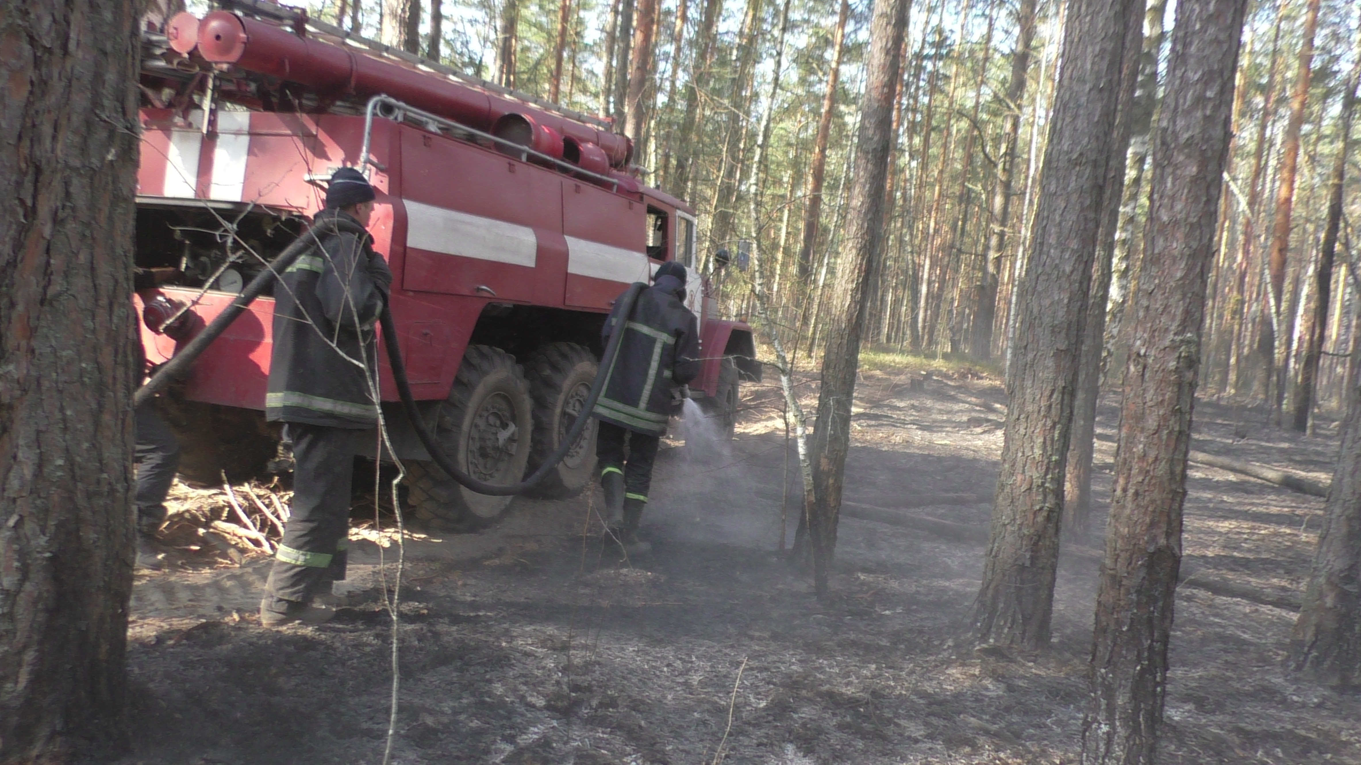 Спасатели продолжают тушит возгорание в Чернобыле и Житомирской области, Фото: dsns.gov.ua