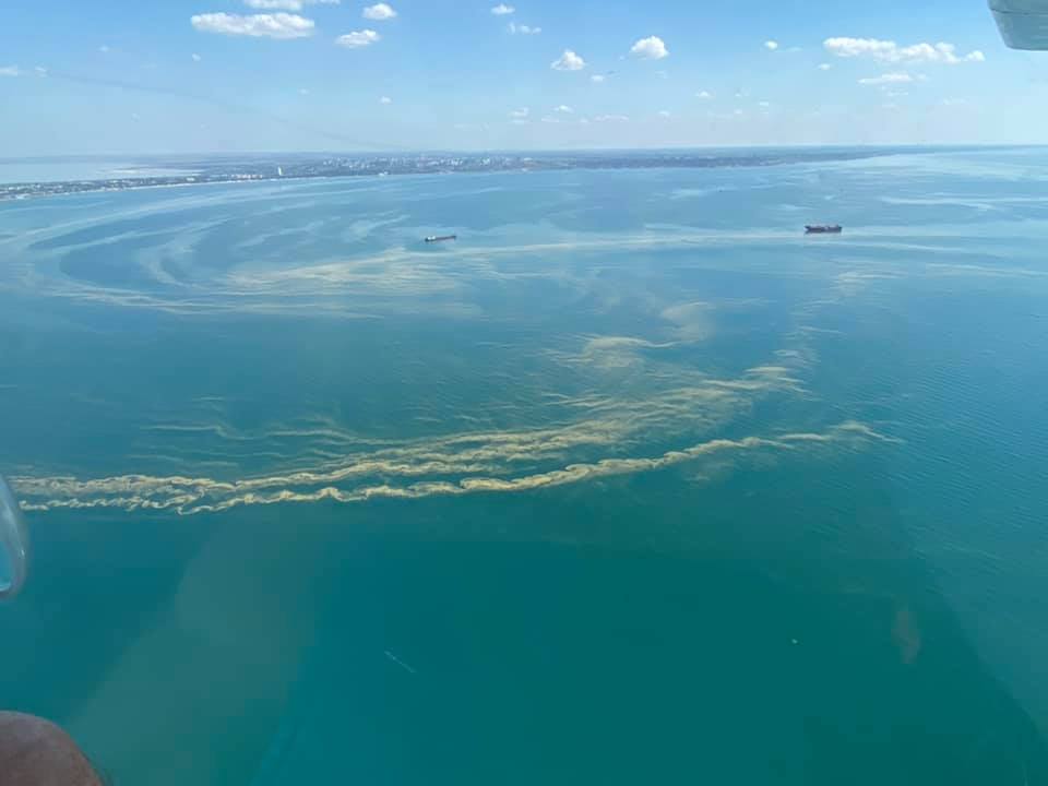 У берегов Одессы из-за жары зацвело Черное море. Фото: ГУ Госпродпотребслужбы в Одесской области