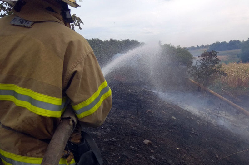 В Днепропетровской области возник пожар возле газопровода. Фото: ГСЧС