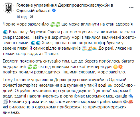 У берегов Одессы из-за жары зацвело Черное море. Скриншот: ГУ Госпродпотребслужбы в Одесской области