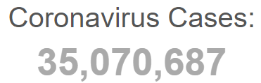 Общее число случаев Covid-19 в мире перешагнуло отметку в 35 миллионов. Скриншот: Worldometers