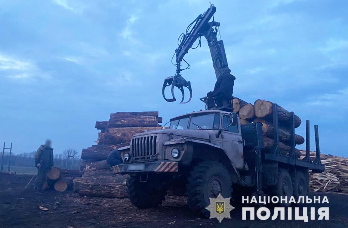 На Волыни обнаружили подпольный цех по заготовке леса для экспорта в Европу