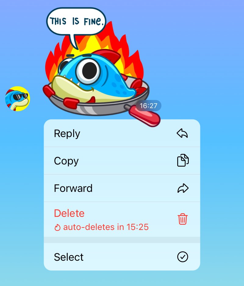 В Telegram появилась функция автоудаления сообщений, Скриншот: telegram-блог