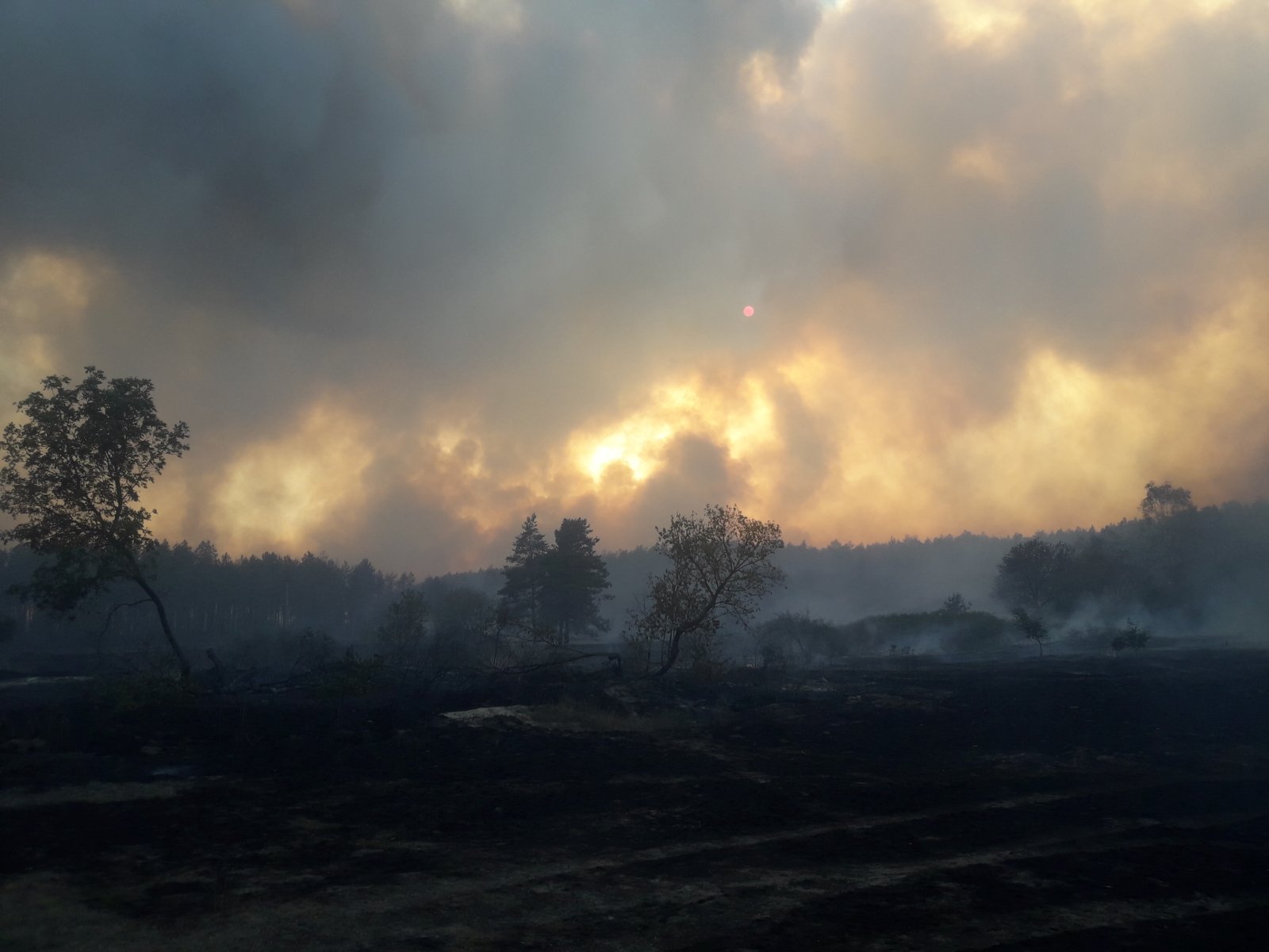 Пожар в Харьковской области, который сжег село, локализирован. Фото: ГСЧС