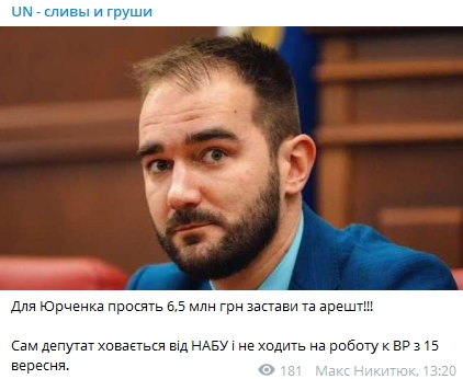 Нардепа Юрченко хотят арестовать с альтернативой залога 6,5 млн гривен. Скриншот: UN