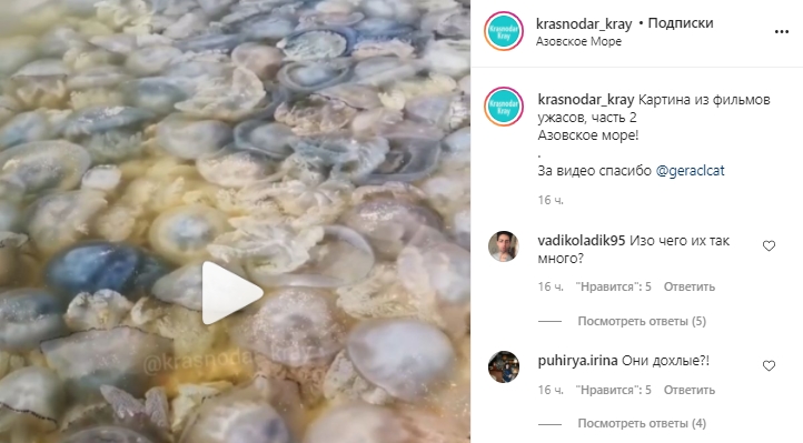 На российском курорте мертвые медузы заполонили берег Азовского моря. Скриншот: Instagram/krasnodar_kray