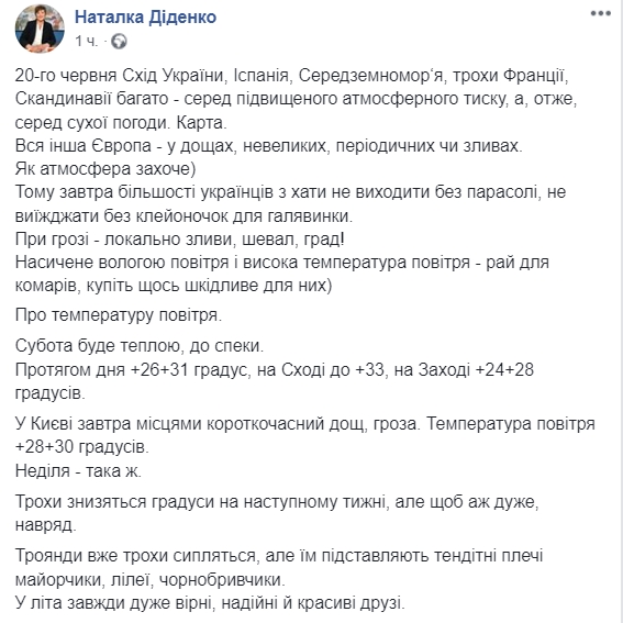 Скриншот: Facebook/ Наталья Диденко