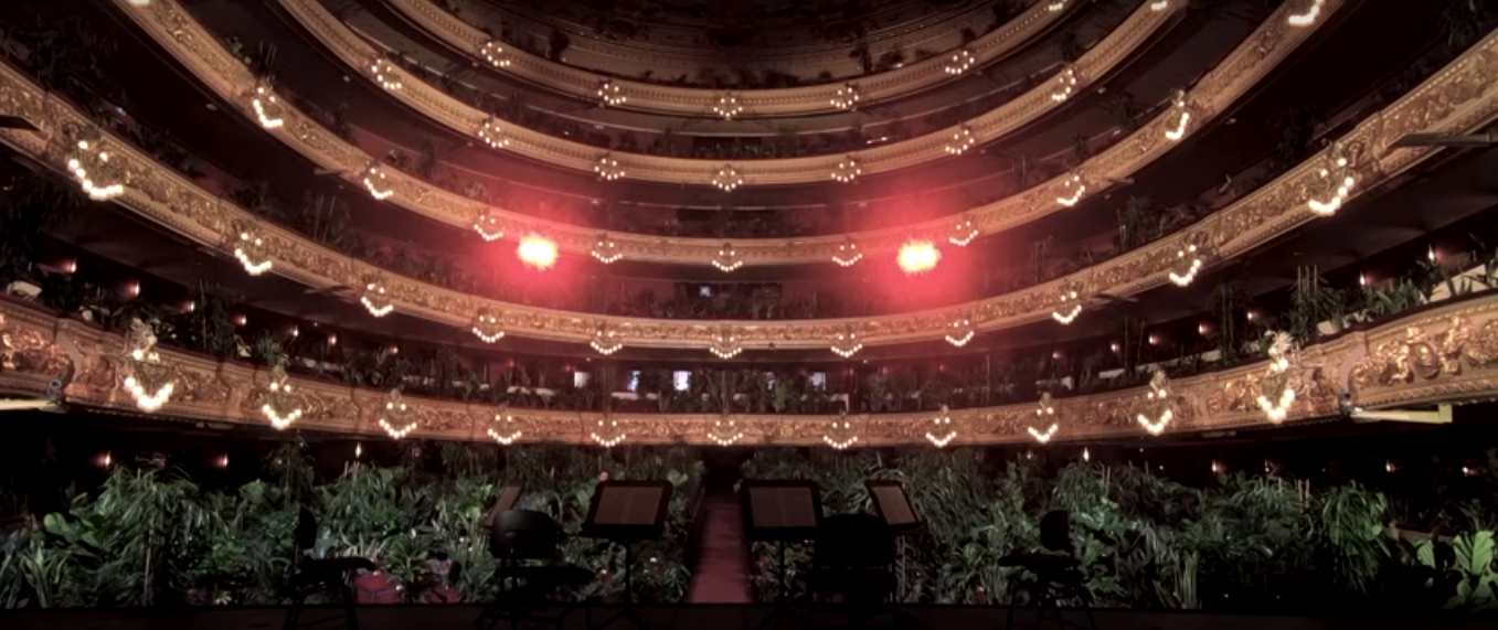 Скриншот: Concierto para el bioceno