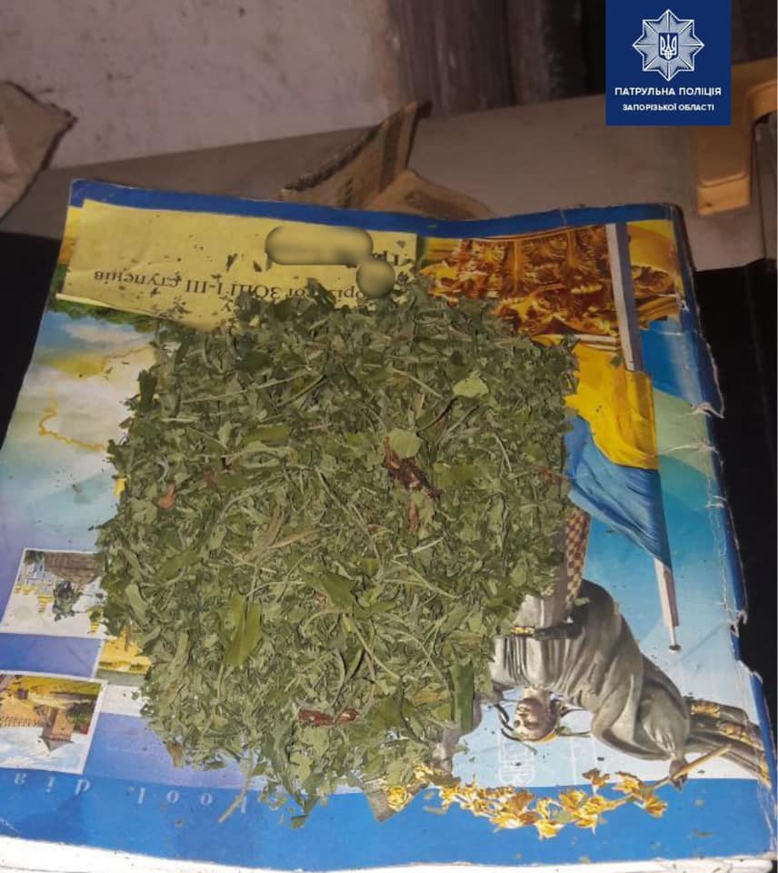 Полиция случайно нашла коноплю и незаконное оружие. Фото: Нацполиция Запорожской области