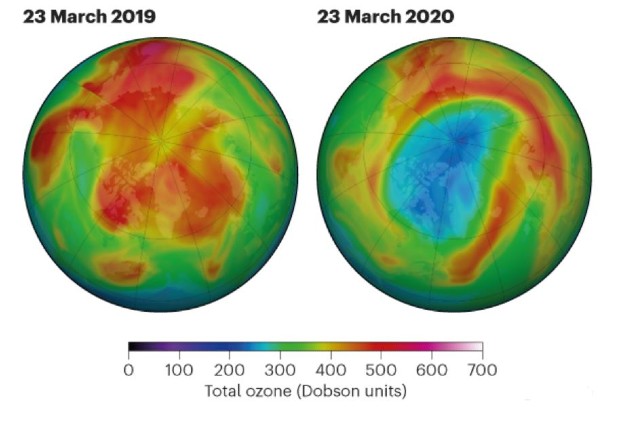 Сравнение содержания озона в единицах Добсона в марте 2019 по сравнению с мартом 2020. Фото: NASA Ozone Watch