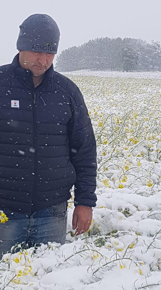 Снег и заморозки в Польше испортили урожай в этом году. Фото: Facebook / Дариуш Цохановский