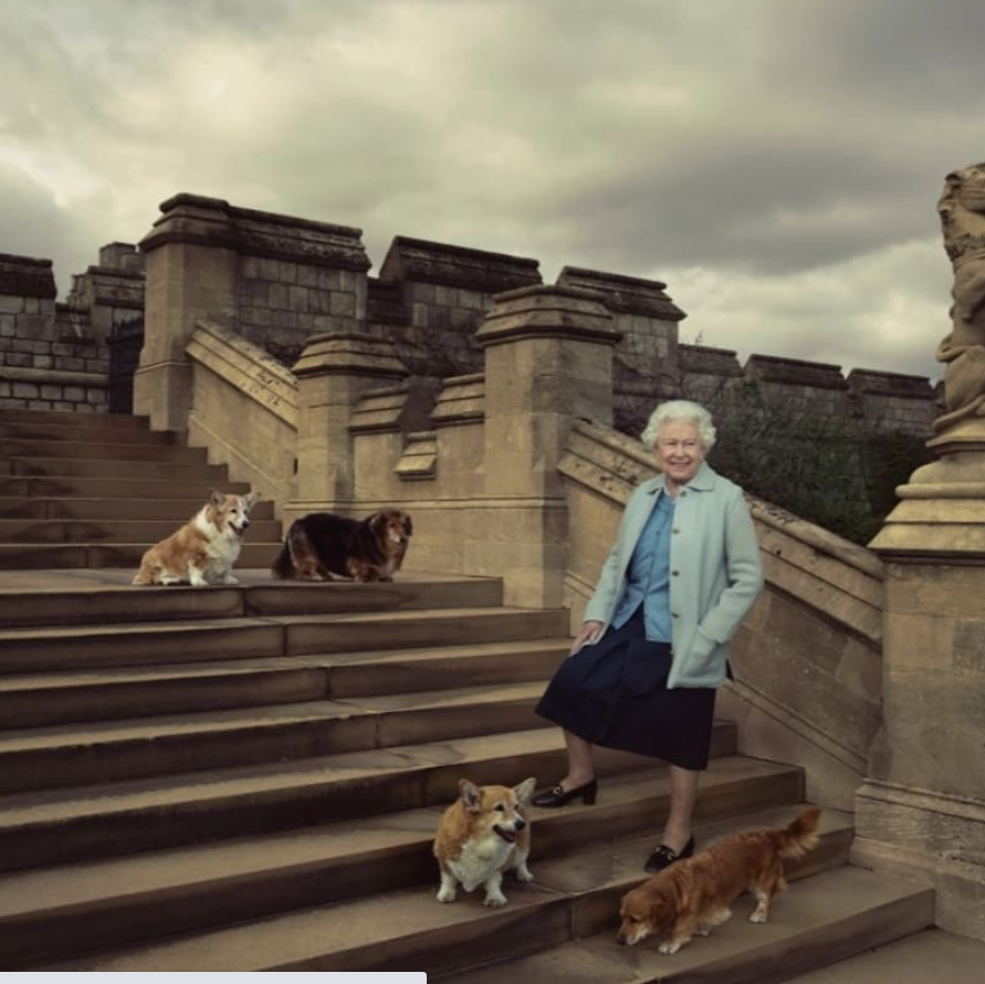 Королева Великобритании Елизавета II потеряла питомца. Скриншот https://www.instagram.com/p/CIWhEXrnfn-/