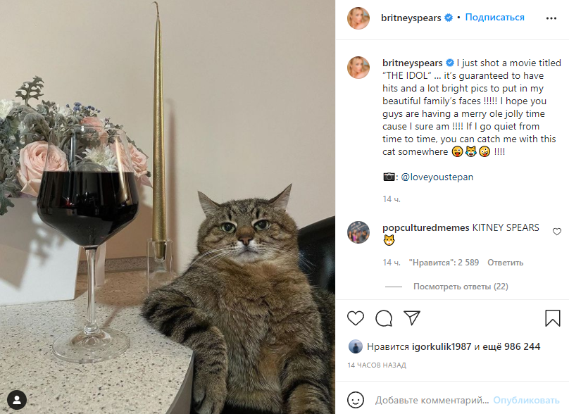 Бритни Спирс опубликовала фото кота. Скриншот из инстаграма