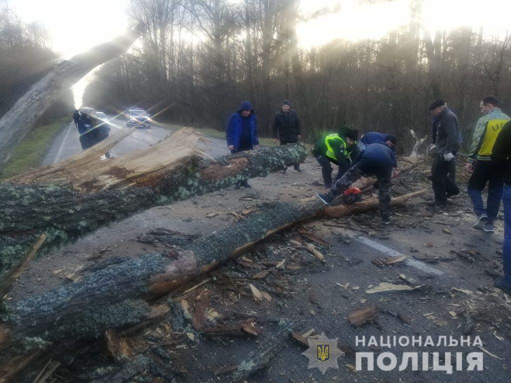 Повалены деревья в Черниговской области