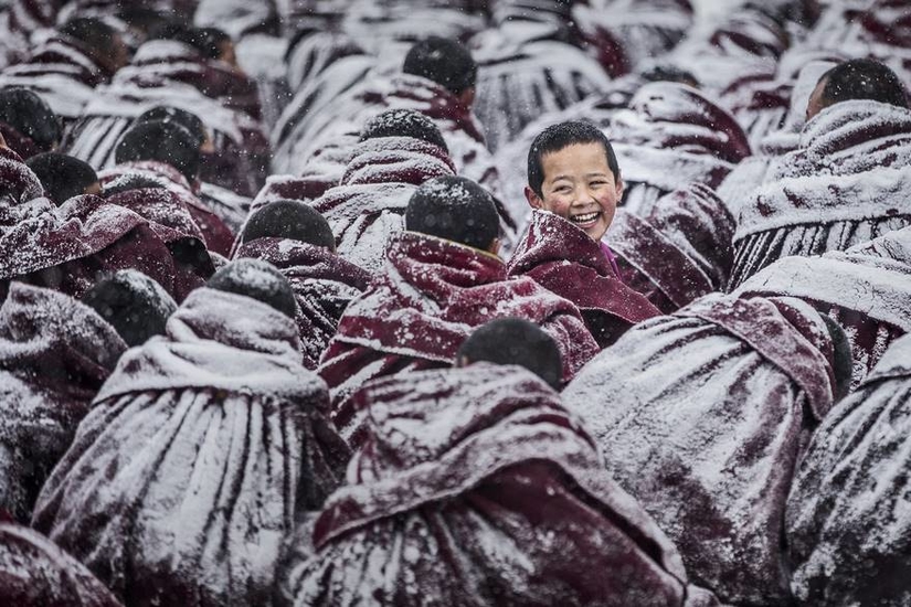 Из-за сильного снегопада рясы монахов, собирающихся в монастыре Лабранг, покрылись снегом. Молодой лама обернулся, и фотограф удачно запечатлел его улыбающееся лицо

Фото: Jianjun Huang